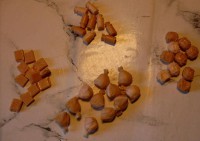 /album/kity1/sdc19615-jpg1/